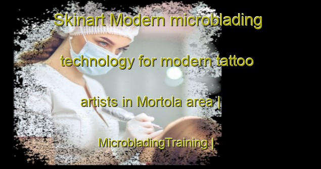 Skinart Modern microblading technology for modern tattoo artists in Mortola area | MicrobladingTraining | MicrobladingClasses | SkinartTraining-Italy